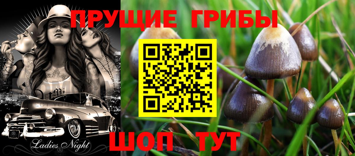 Галлюциногенные грибы Psilocybe Назарово