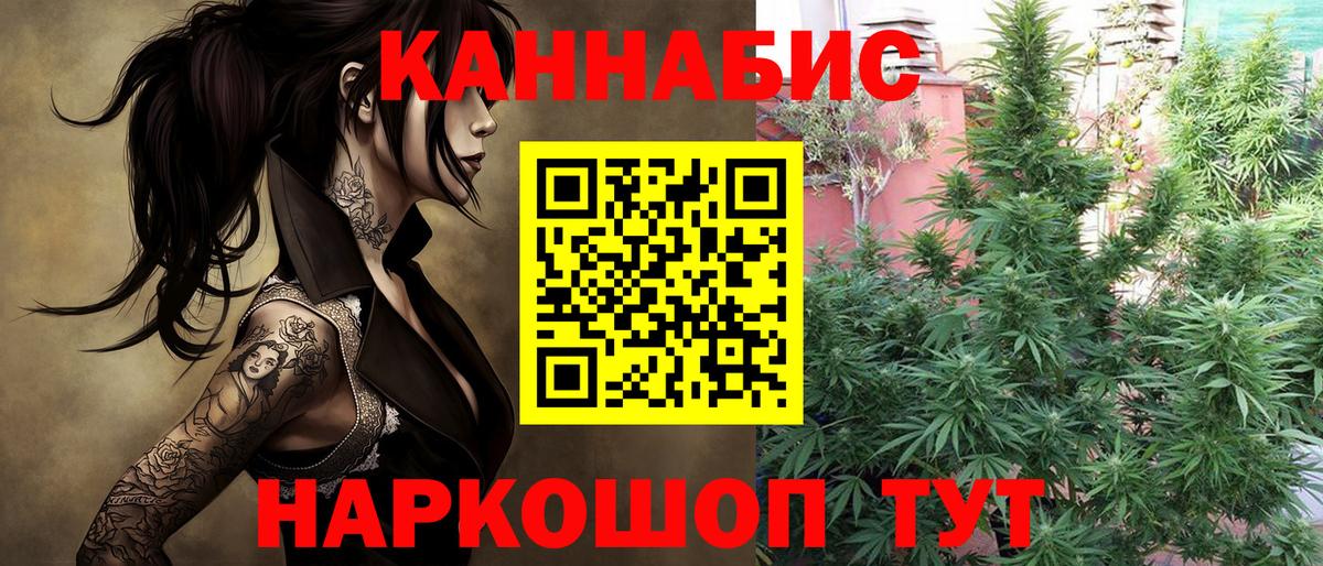 Бошки марихуана планчик  МАРИХУАНА план  Каннабис THC 21%  Вход с VPN  Назарово  Бошки марихуана тримм 